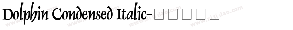 Dolphin Condensed Italic字体转换